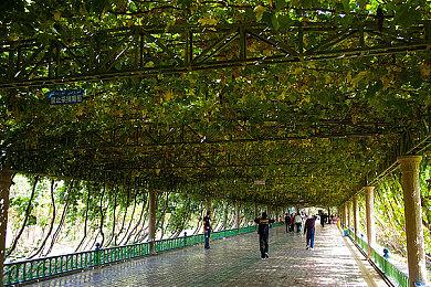 《孤岛惊魂4》Steam成就更新上线 可与育碧版同步